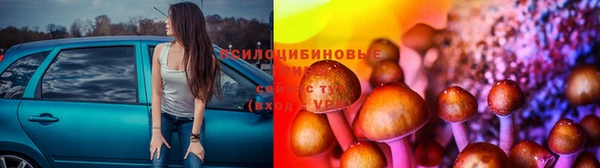 соль курить ск Новодвинск