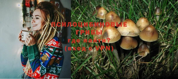 соль курить ск Новодвинск