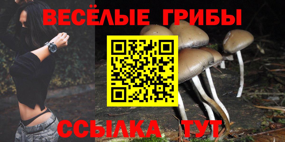 Ишим  Псилоцибиновые грибы мицелий  Вход с VPN 