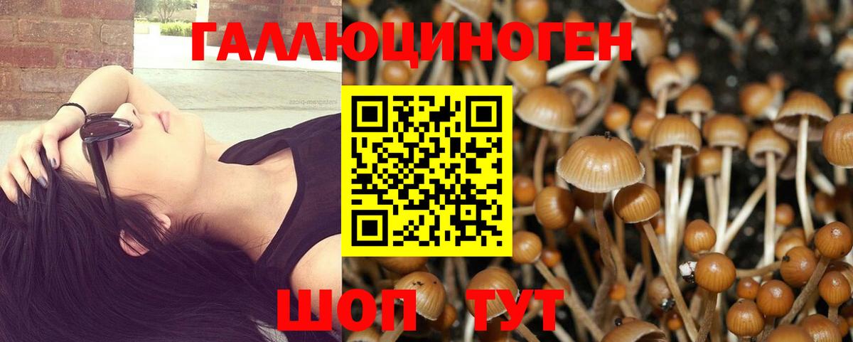 Галлюциногенные грибы мицелий  Ишим 