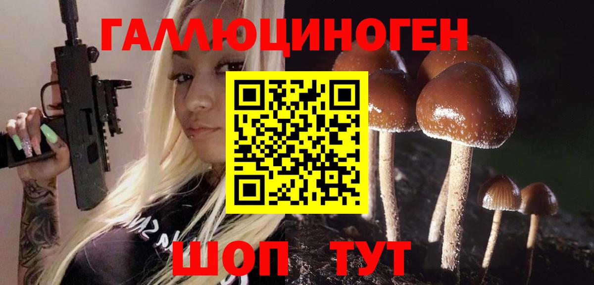 Псилоцибиновые грибы прущие грибы Ишим